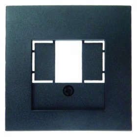 10331606 Центральная панель для розетки TAE цвет: антрацит, матовый B.1/B.3/B.7 Glas Berker фото