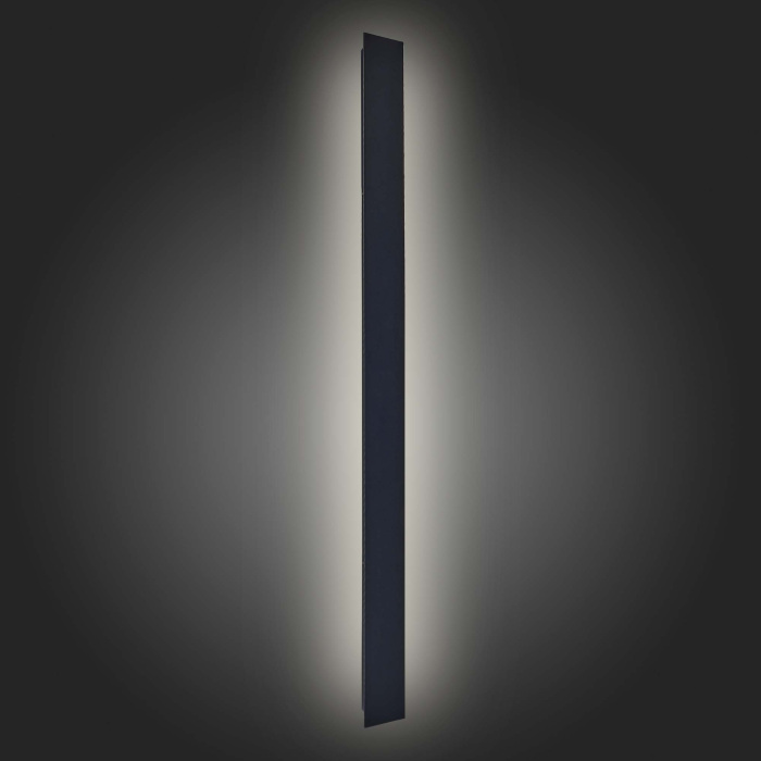 Настенный светильник уличный Nuvola SL9511.421.01 ST Luce фото