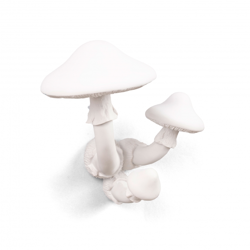 Вешалка Mushroom Seletti 14634 фото