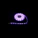 Лента светодиодная Globo Light Tube 38991 3м. фото