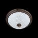 Настенно-потолочный светильник Maytoni Ceiling & Wall C908-CL-03-R фото