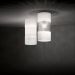 Потолочный светильник Fabbian Becky F16E0101 фото