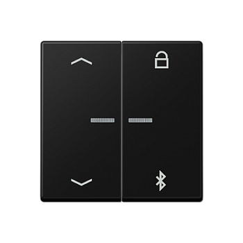 A1751BFPBTSWM Таймер универсальный Bluetooth «стрелки» матовый чёрный графит Jung A серия фото