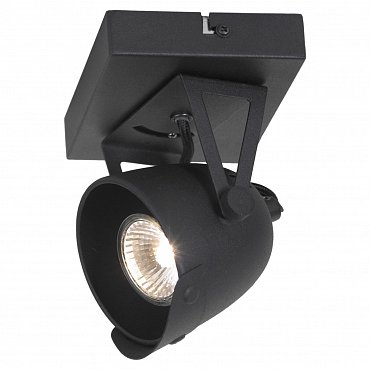 Настенно-потолочный светильник Lussole Loft LSP-9505 фото