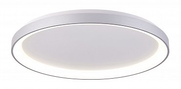 Накладной потолочный светильник 800мм, 60.0Вт, 3000/4000К, Серебристый Deko-Light Merope 348196 фото