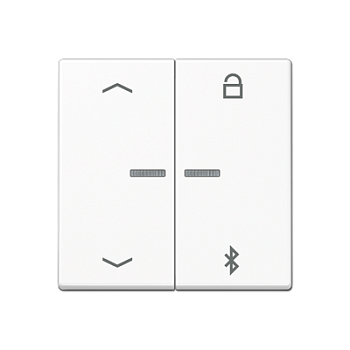 A1751BFPBTWW Таймер универсальный Bluetooth «стрелки» белый Jung A серия фото