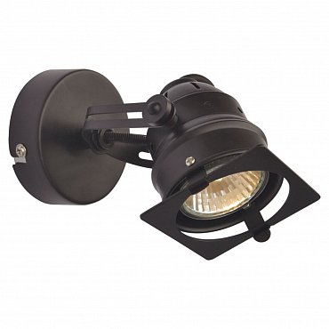 Настенно-потолочный светильник Lussole Loft LSP-9118 фото