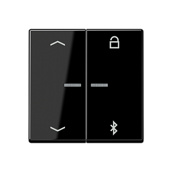 A1751BFPBTSW Таймер универсальный Bluetooth «стрелки» черный Jung A серия фото